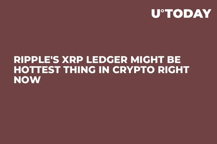 Ripple's XRP Ledger Might Be Hottest Thing in Crypto Right Now