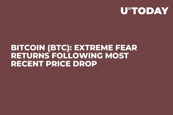 Bitcoin (BTC): Extreme Fear Returns Following Most Recent Price Drop