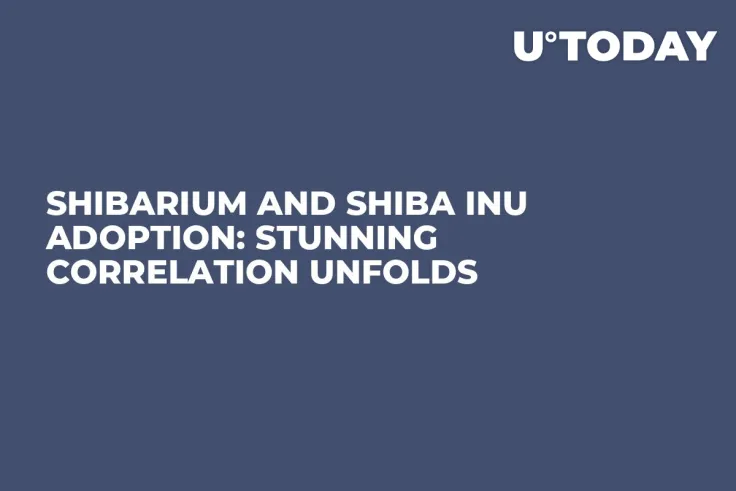Shibarium and Shiba Inu Adoption: Stunning Correlation Unfolds