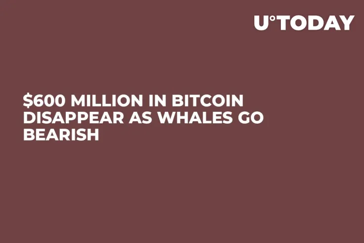 $600 Million in Bitcoin Disappear as Whales Go Bearish