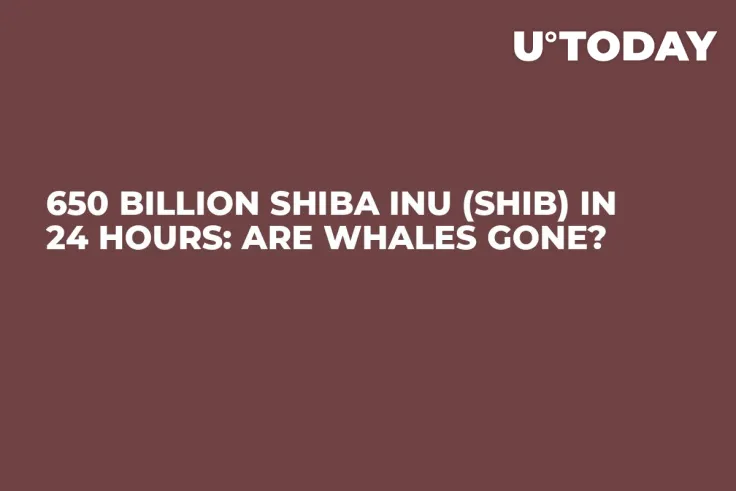 650 Billion Shiba Inu (SHIB) in 24 Hours: Are Whales Gone?