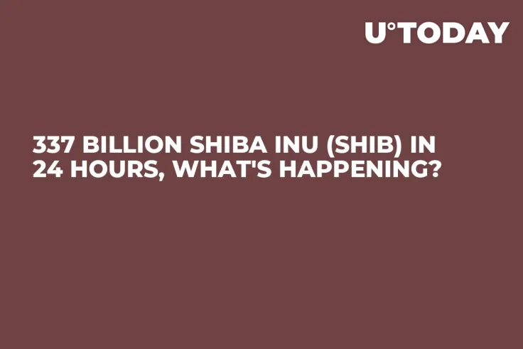 337 Billion Shiba Inu (SHIB) in 24 Hours, What's Happening?