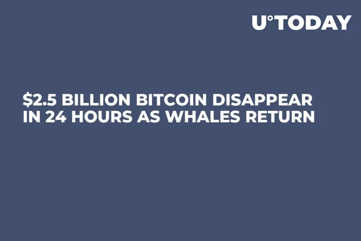 $2.5 Billion Bitcoin Disappear in 24 Hours as Whales Return