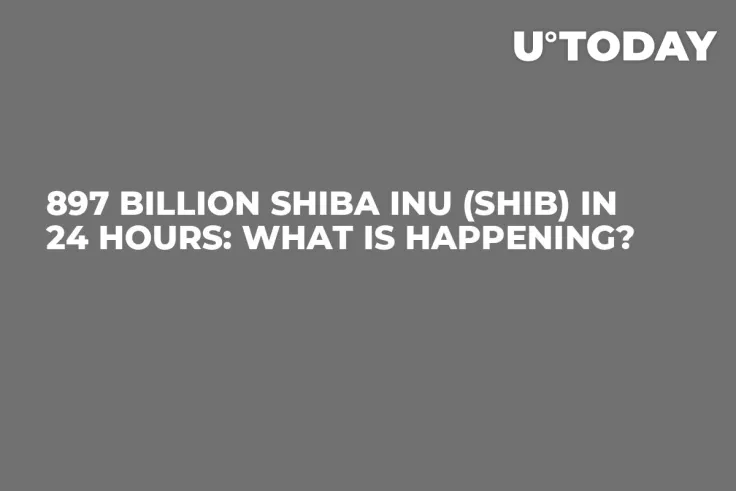 897 Billion Shiba Inu (SHIB) in 24 Hours: What Is Happening?