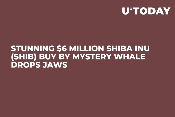 Stunning $6 Million Shiba Inu (SHIB) Buy by Mystery Whale Drops Jaws