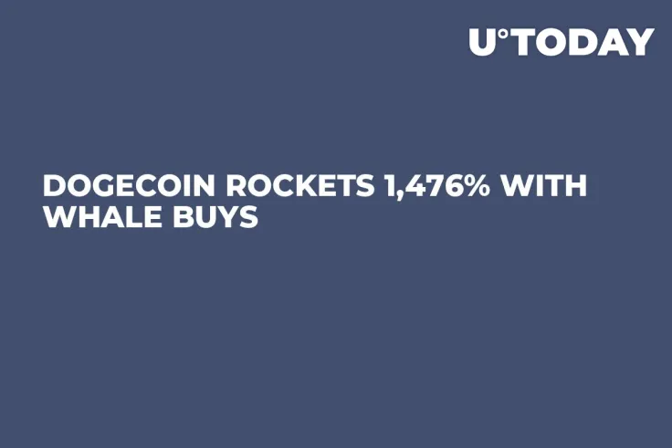 Dogecoin Rockets 1,476% With Whale Buys