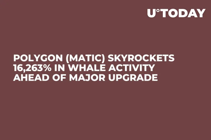 Polygon (MATIC) Skyrockets 16,263% in Whale Activity Ahead of Major Upgrade