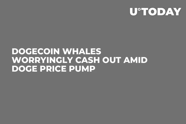 Dogecoin Whales Worryingly Cash Out Amid DOGE Price Pump