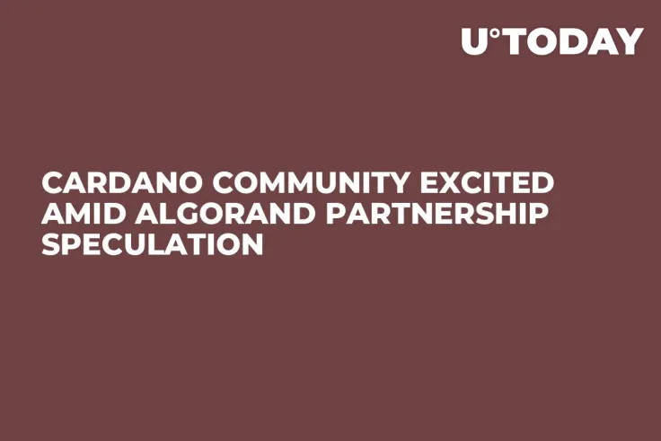 Cardano Community Excited Amid Algorand Partnership Speculation