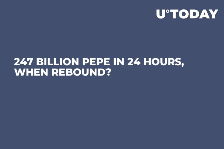 247 Billion PEPE in 24 Hours, When Rebound?