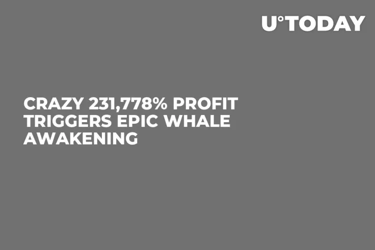 Crazy 231,778% Profit Triggers Epic Whale Awakening