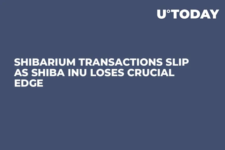 Shibarium Transactions Slip as Shiba Inu Loses Crucial Edge