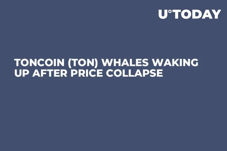 Toncoin (TON) Whales Waking up After Price Collapse 