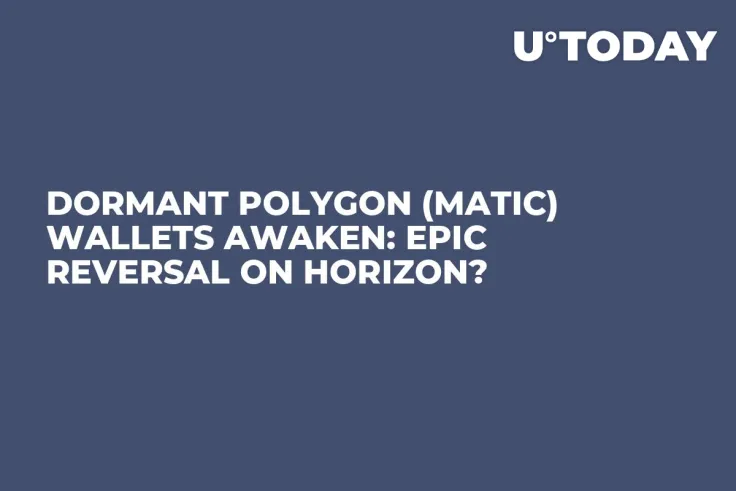 Dormant Polygon (MATIC) Wallets Awaken: Epic Reversal on Horizon?