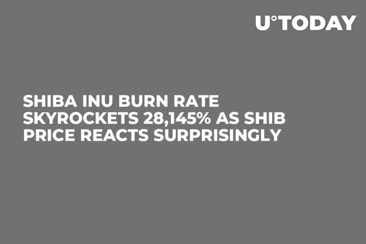 Shiba Inu Burn Rate Skyrockets 28,145% as SHIB Price Reacts Surprisingly