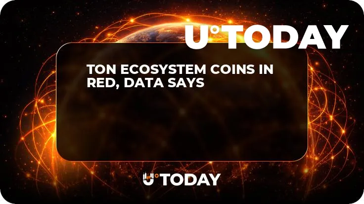 TON Ecosystem Coins in Red, Data Says