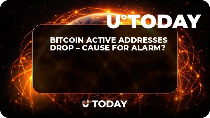 Bitcoin Active Addresses Drop – Cause for Alarm?