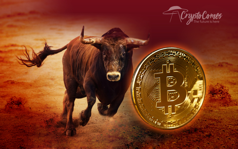 bull coin cryptocurrency