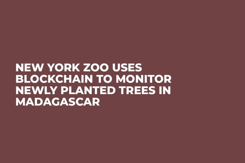 New York Zoo Uses Blockchain to Monitor Newly Planted Trees in Madagascar 