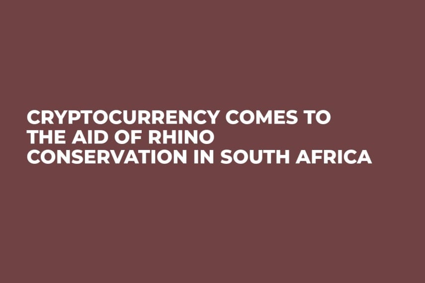 Cryptocurrency Comes to the Aid of Rhino Conservation in South Africa