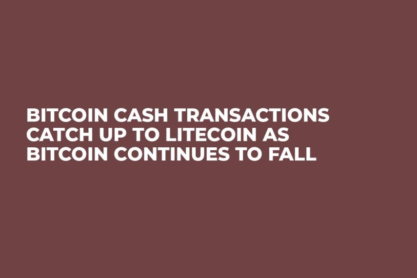 Bitcoin Cash Transactions Catch Up to Litecoin as Bitcoin Continues to Fall