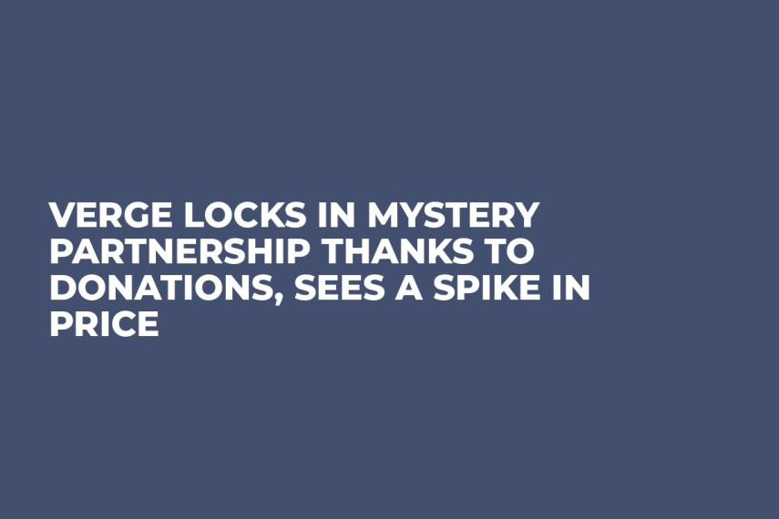 Verge Locks in Mystery Partnership Thanks to Donations, Sees a Spike in Price