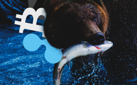 BTC, ETH, XRP Price Prediction — Growth Was Changed by the Market Fall. Have Bears Seized the Initiative? BTC, ETH, XRP Price Prediction — Growth Was Changed by the Market Fall. Have Bears Seized the Initiative?