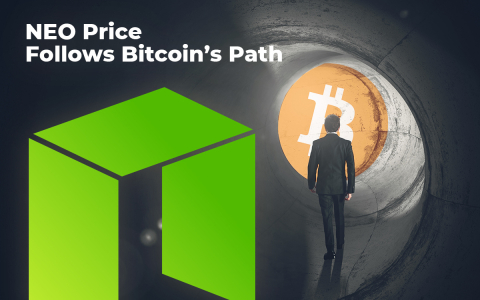 NEO Price Follows Bitcoin’s Path: Chances of Reaching $25 During Summer NEO Price Follows Bitcoin’s Path: Chances of Reaching $25 During Summer