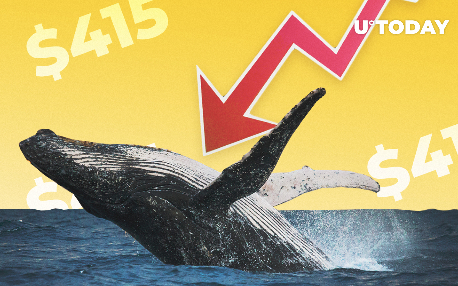Biggest Bitcoin Whales to Blame for Price Drops as $415 Million Moved  Before Crash - U.Today