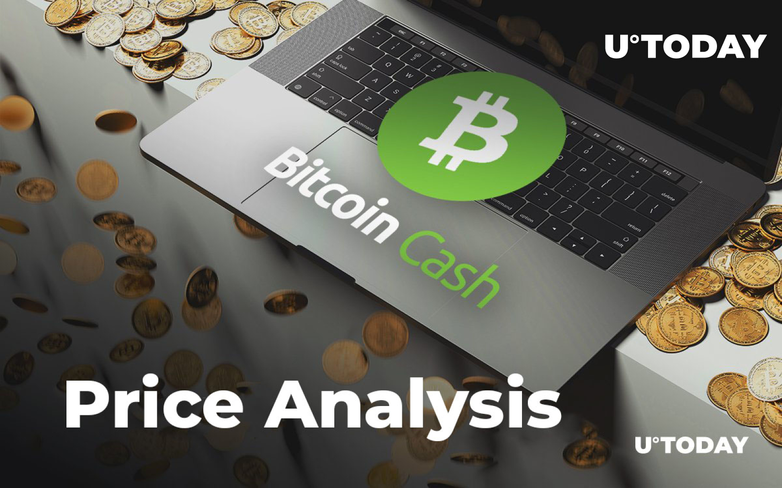Bitcoin Cash Price Analysis — How Much Might BCH Cost in 2019, 2020, and  2025? - U.Today