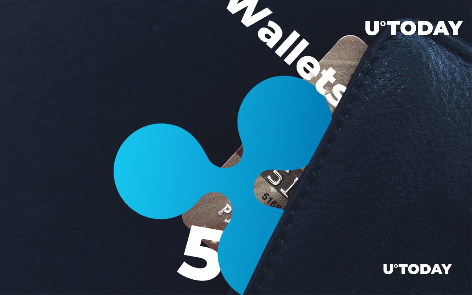 5 Popular Ripple Wallets in 2018 - U.Today
