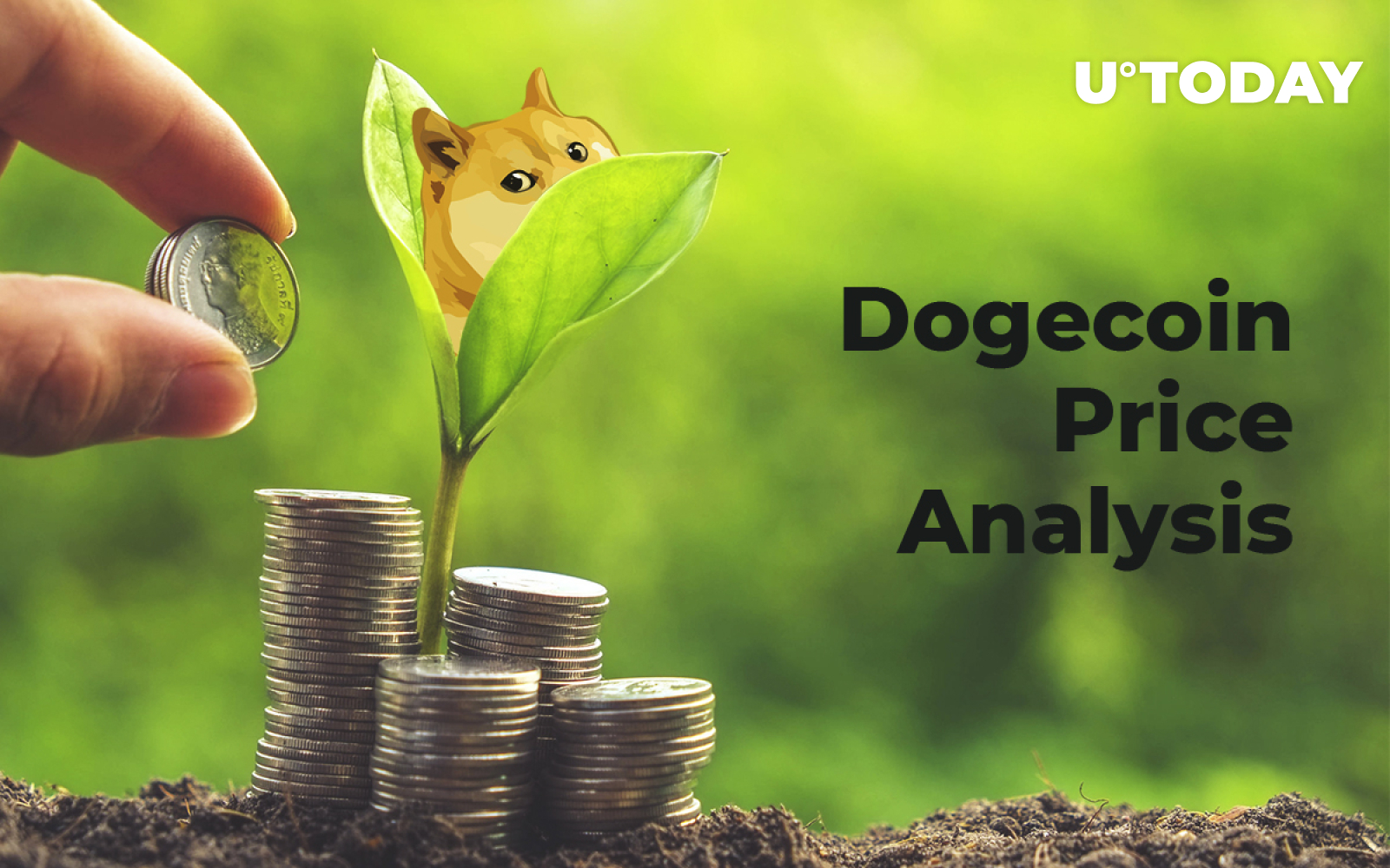 Dogecoin Price Analysis 2019 — Is Long-Term Growth Possible? - U.Today