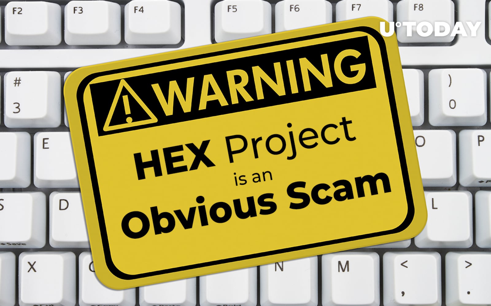 HEX Project is an Obvious Scam: IOTA Founder. Crypto Community Seconds -  U.Today