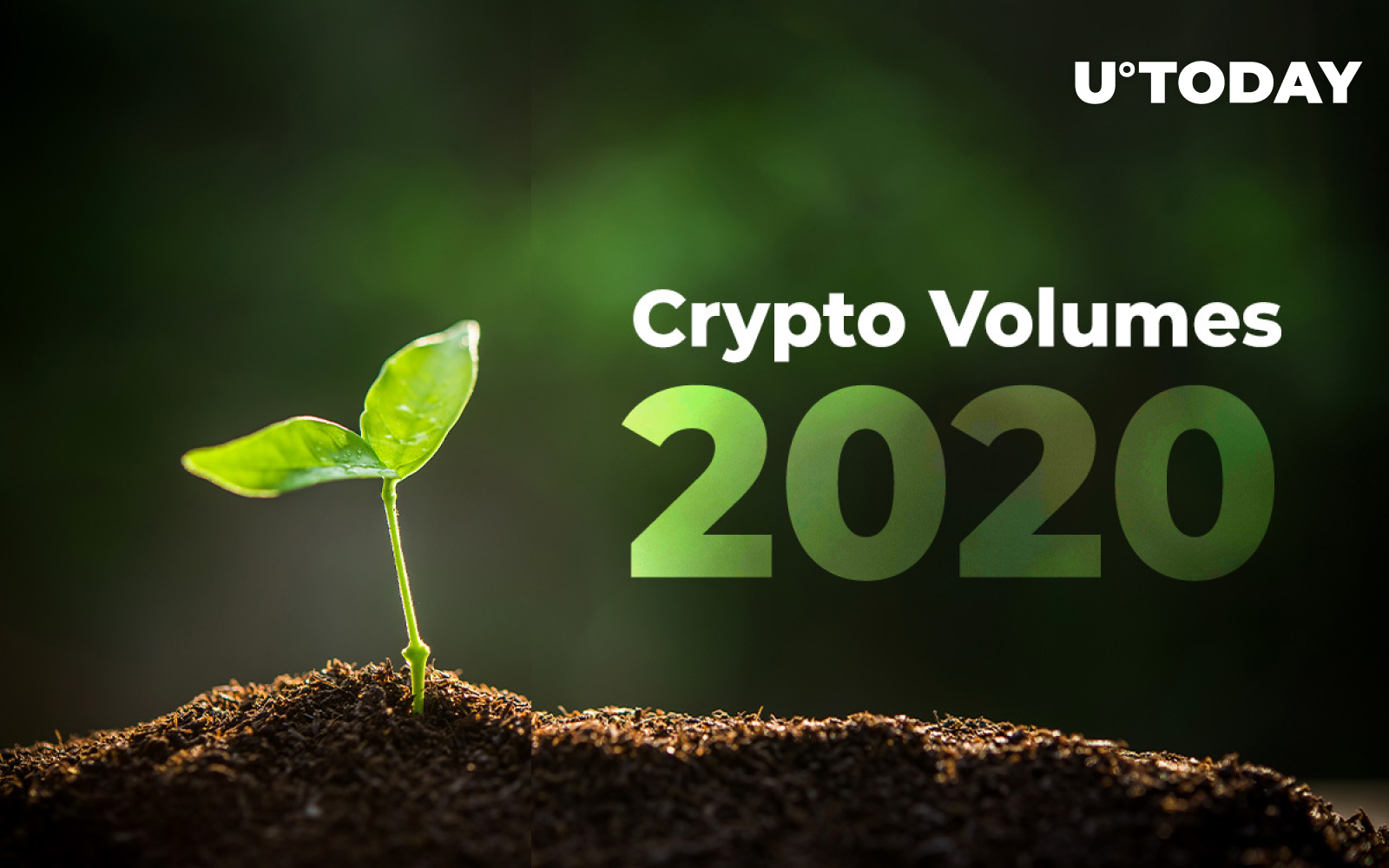 Crypto Volume Continues to Grow in 2020. Is New Bitcoin (BTC) Bull Market  Just Starting? - U.Today