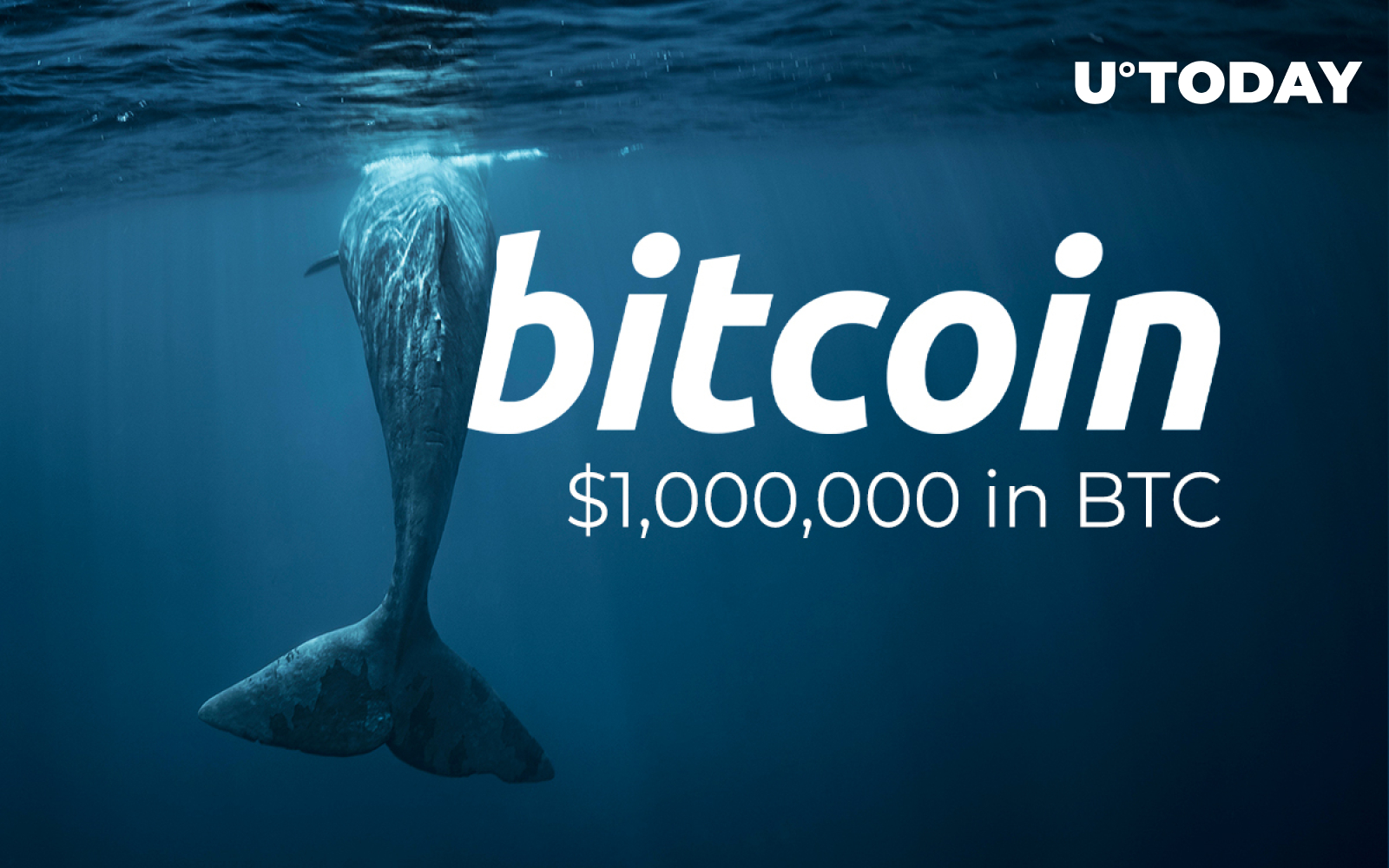 18,000 Bitcoin Whales Now Hold Minimum of $1,000,000 in BTC Each: Glassnode  Data - U.Today