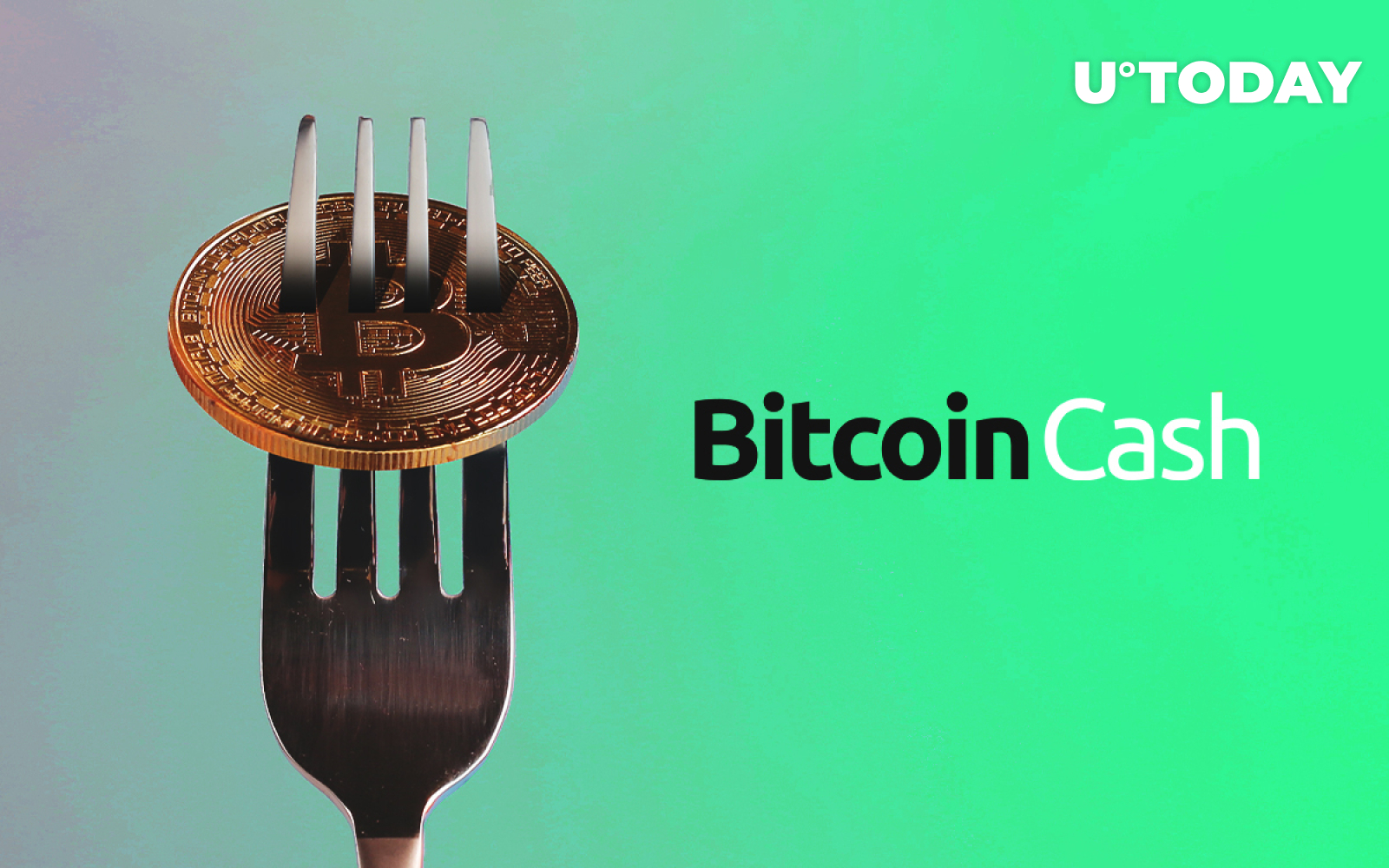 bitcoin cash fork candy