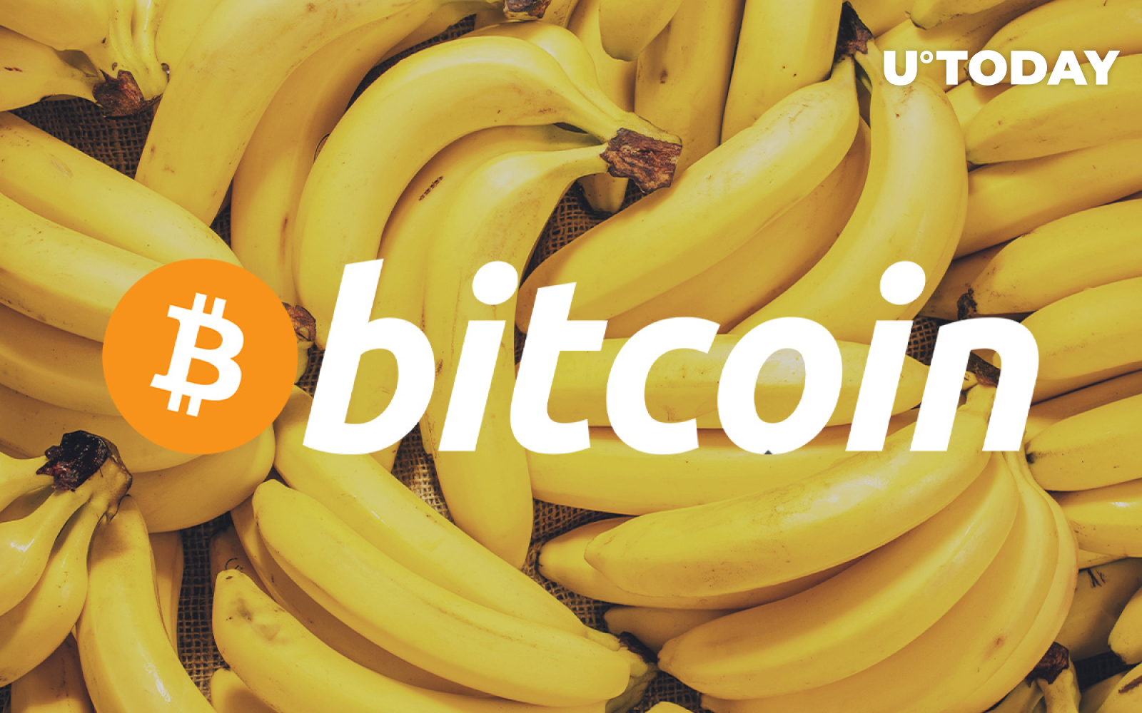 bitcoin banana