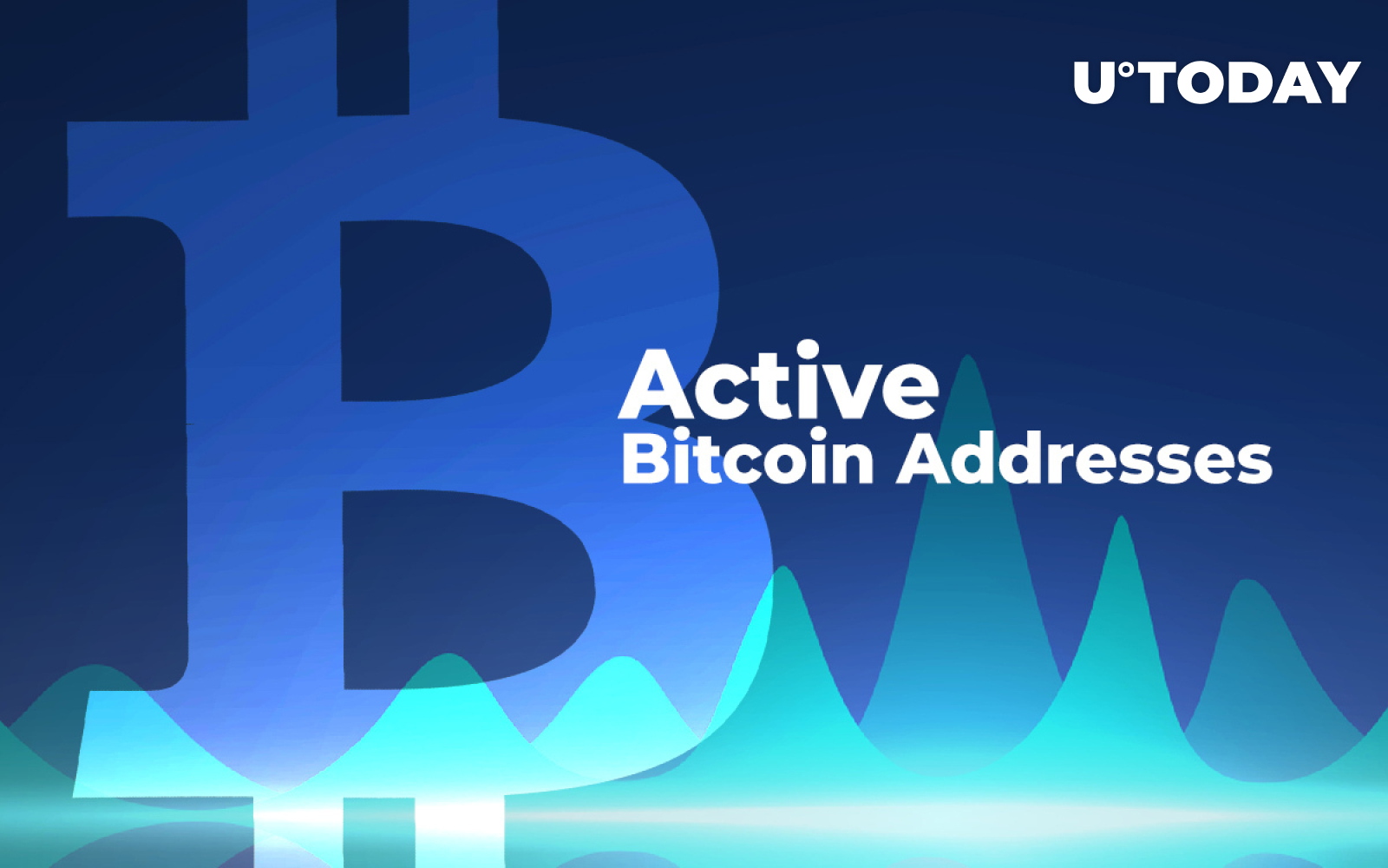 active local bitcoin stores addresses in fort plain