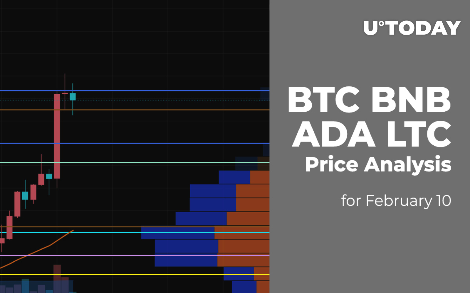 BTC, BNB, ADA And LTC Price Analysis For February 10