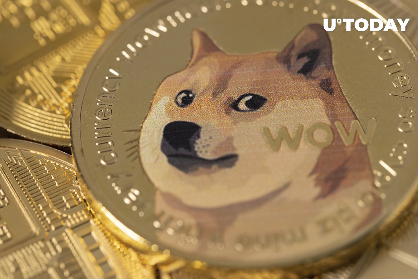 Как получить meme coins в хомяке. Шиба ину криптовалюта. Dogecoin криптовалюта. Монета Мем. Мемы про монеты.