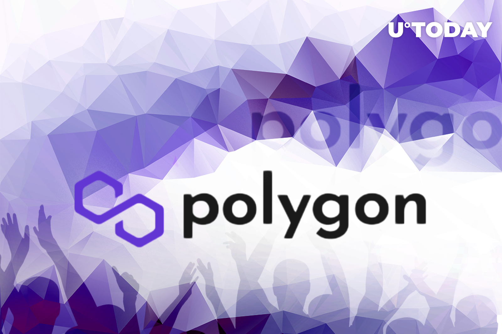 why-is-polygon-so-popular