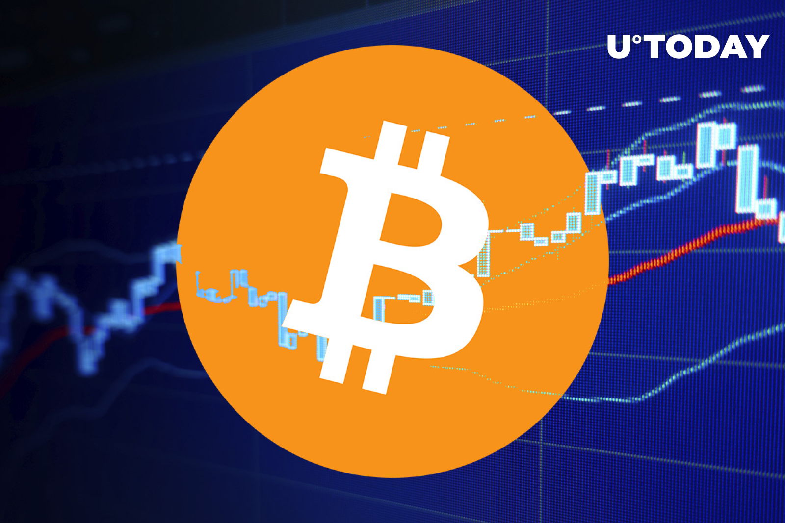 biggest bitcoin losses