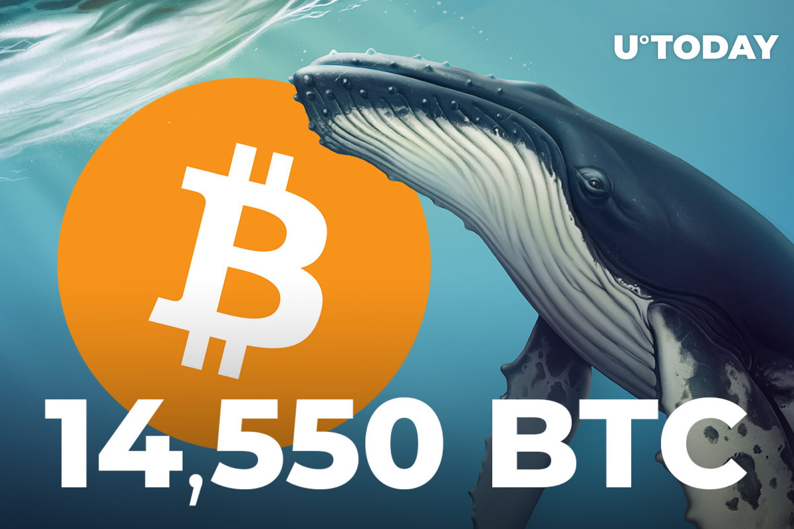 Whales Move 14,550 BTC to Binance, Bitcoin Selling Pressure Is High:  CryptoQuant CEO - U.Today