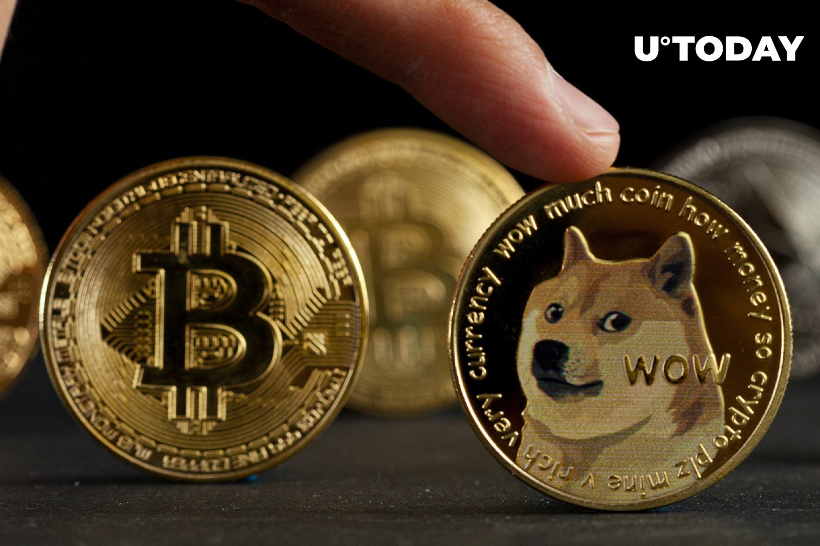 Dogecoin Up 18%, Bitcoin Rising As Elon Musk And Jack Dorsey Prepare ...