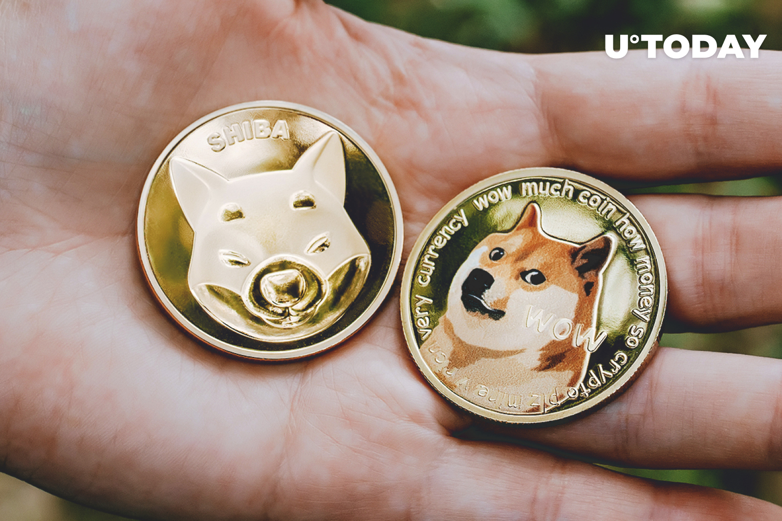 SHIB Top 11 Coin, Sitting Right Behind DOGE on CoinGecko