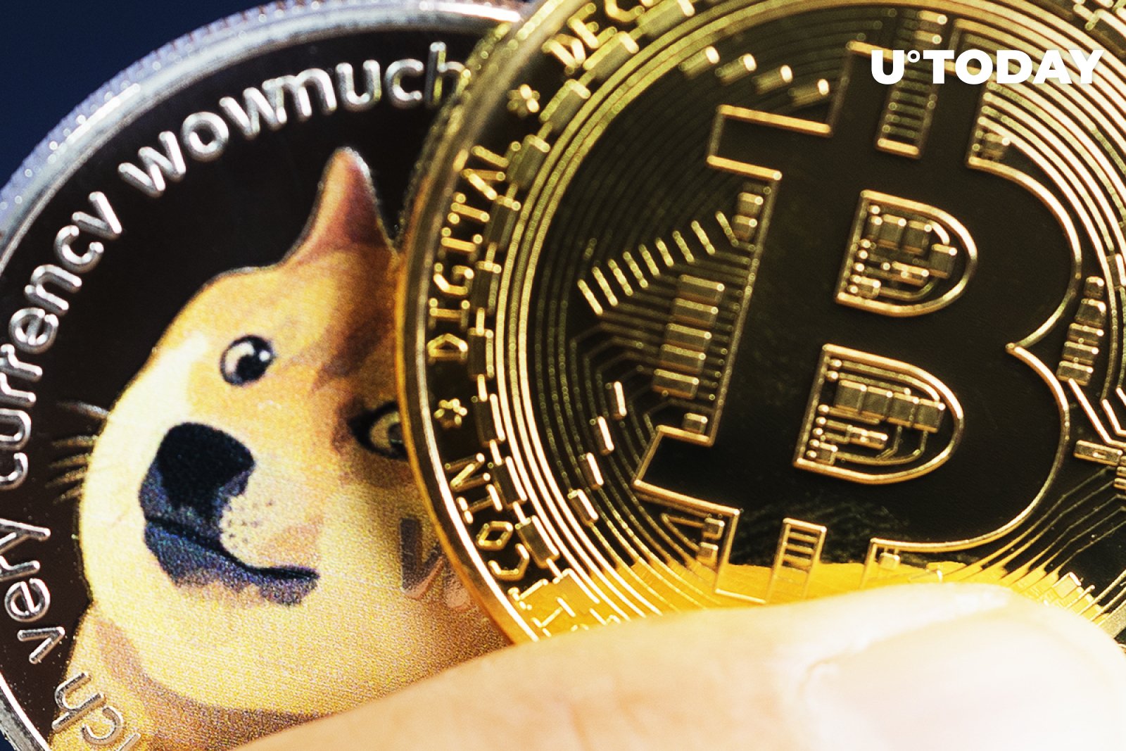 DOGE Has Allowed Lots of People to Get into Bitcoin: David Gokhshtein