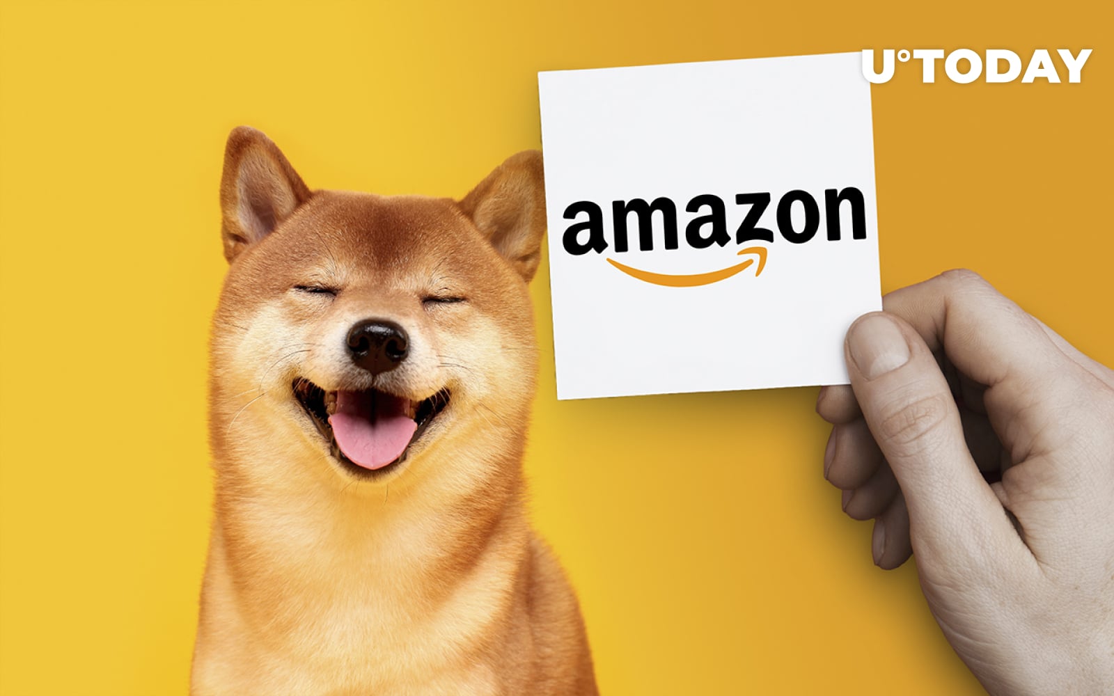Three SHIB Petitions for Amazon Adoption Gain 173,373 Signatures - U.Today