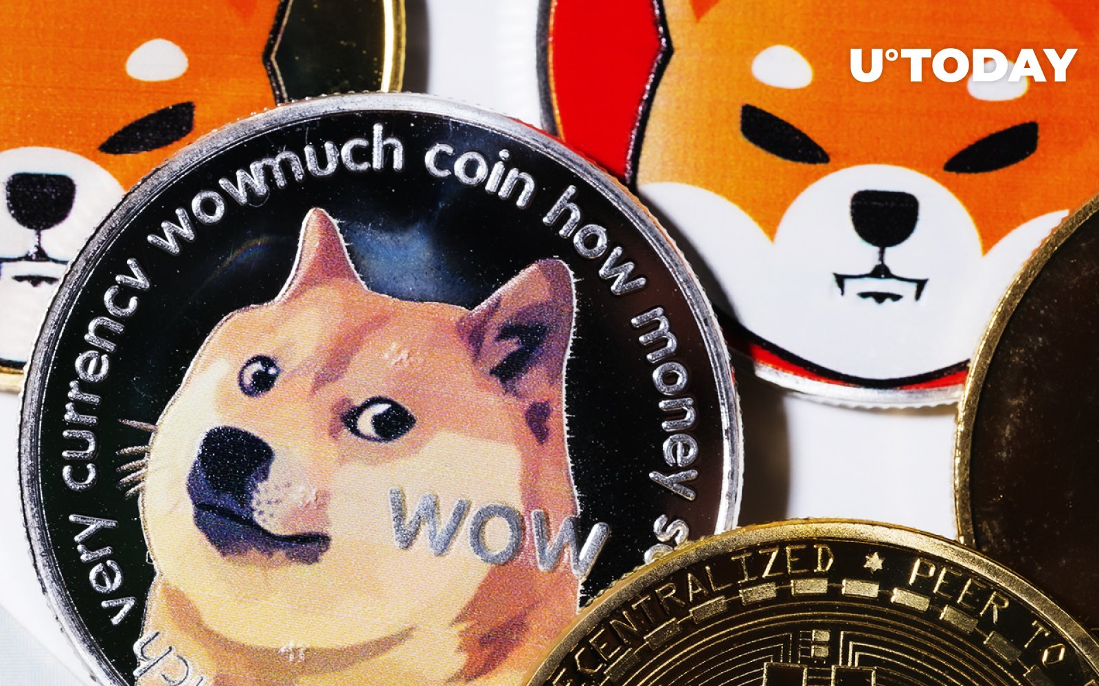 Dogecoin Co-Founder Wants Shiba Inu Community to Leave Him Alone