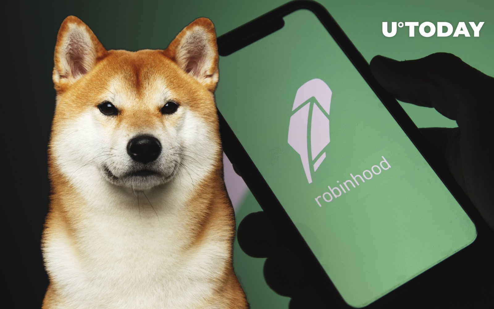 crypto whale buys shiba inu