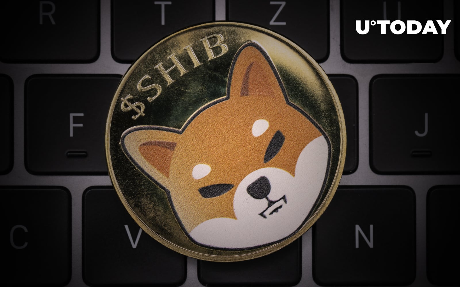 Shib Community Burned About 2 Billion Shib In November U Today